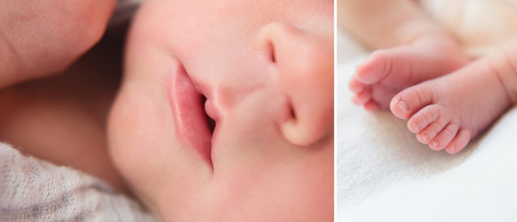 newborn photography, virginia, baby toes