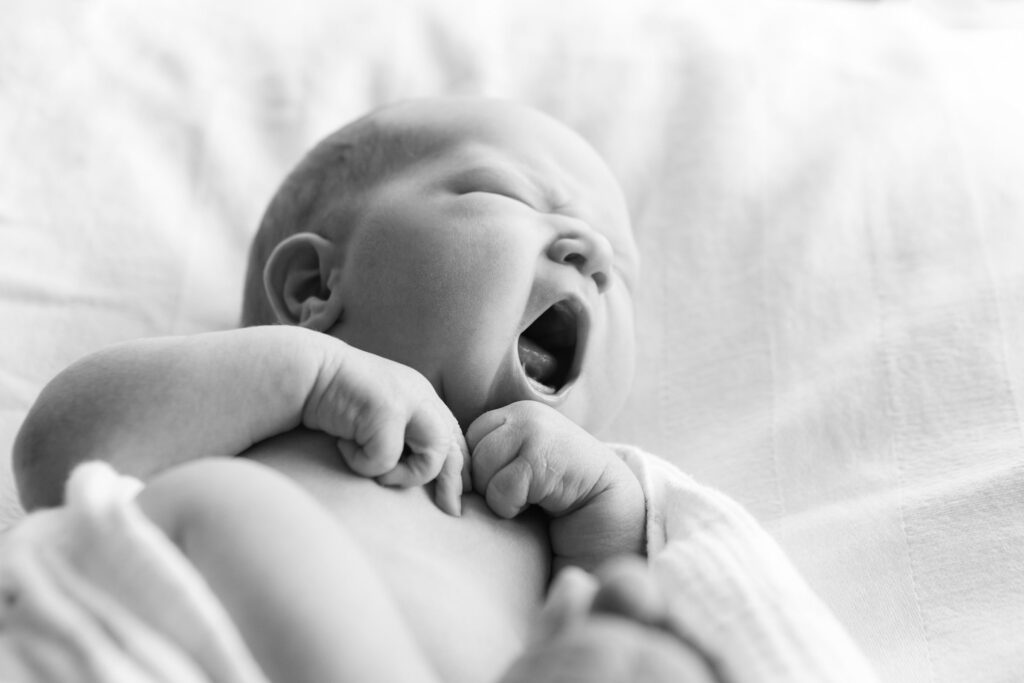 newborn photography, virginia, baby fingers