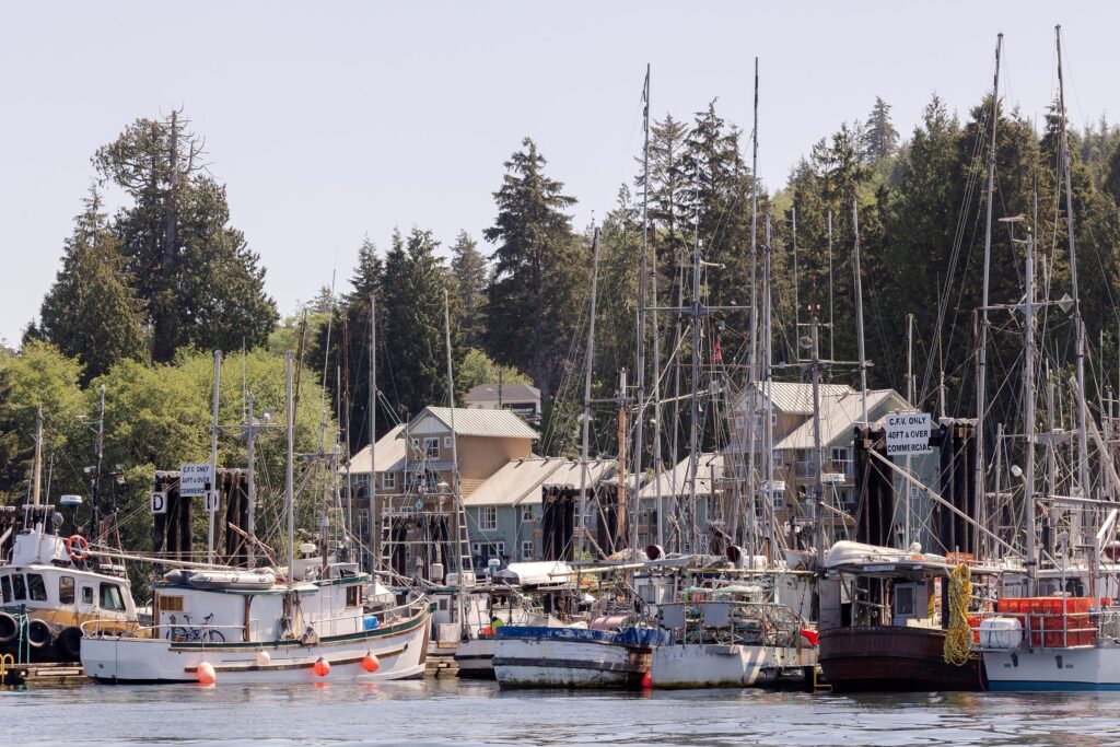 Vancouver Island, British Columbia, Pacific Ocean, Tofino, harbor, sailboats