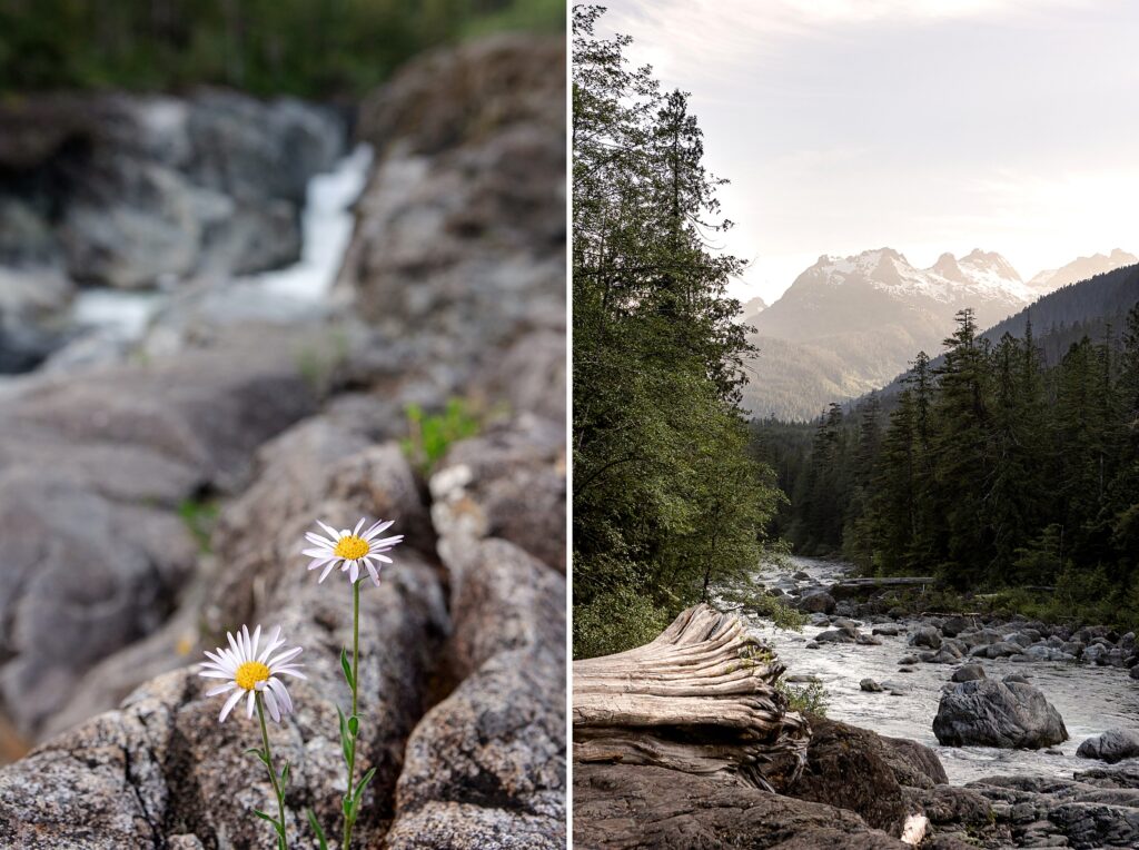 Canada, British Columbia, Canadian landscape, mountains, rural landscape, flowers