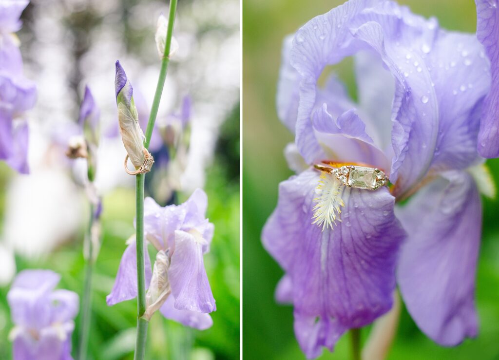 irises, summer flowers, engagement ring, detail shots, purple flowers